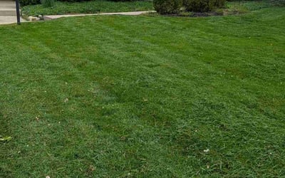 Photo of Matthew M.'s yard after getting lawn care in Dublin, OH