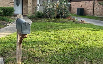 Photo of Shandon S.'s yard after getting lawn care in Dayton, OH