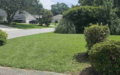 Photo of Etta W.'s yard after getting lawn care in Mount Pleasant, SC