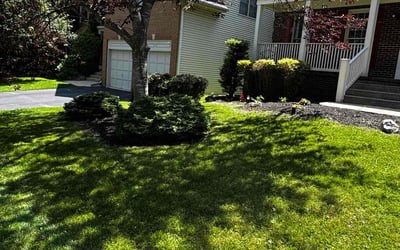 Photo of Steve C.'s yard after getting lawn care in Canandaigua, NY