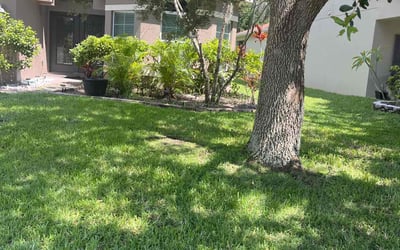 Photo of Rebecca D.'s yard after getting lawn care in New Port Richey, FL