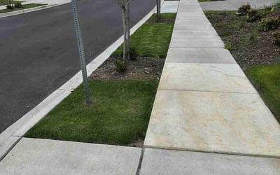 Photo of Robbin M.'s yard after getting lawn care in Lake Stevens, WA
