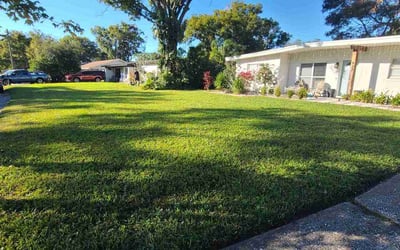 Photo of Rod F.'s yard after getting lawn care in Winter Park, FL