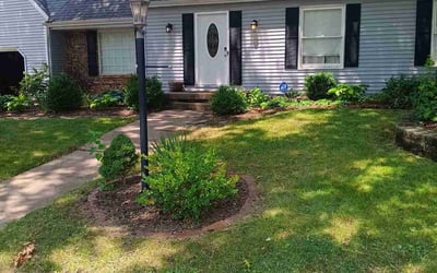 Photo of David J.'s yard after getting lawn care in Peoria, IL