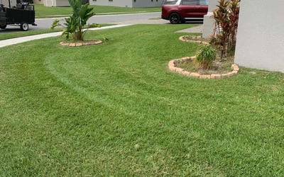 Photo of Ellen L.'s yard after getting lawn care in Littleton, CO