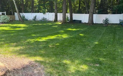 Photo of Andre b.'s yard after getting lawn care in Hamden, CT