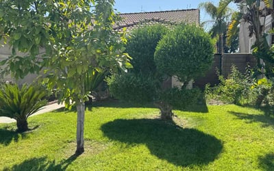 Photo of Patricia B.'s yard after getting lawn care in Indio, CA