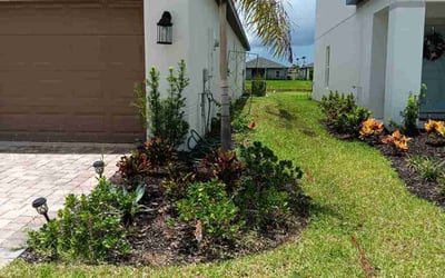Photo of Carla O.'s yard after getting lawn care in Punta Gorda, FL