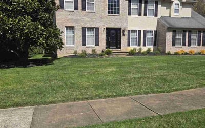 Photo of Cedricka G.'s yard after getting lawn care in Newark, DE