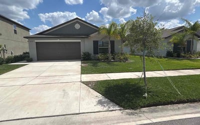 Photo of Natalie M.'s yard after getting lawn care in Frostproof, FL