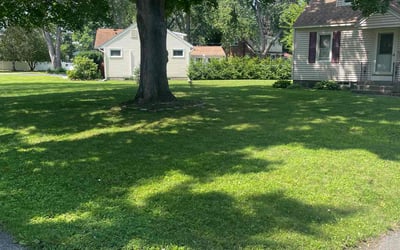 Photo of Pro P.'s yard after getting lawn care in Albany, NY
