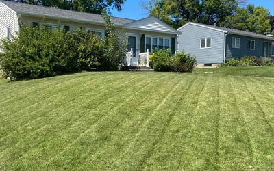 Photo of Jermaine A.'s yard after getting lawn care in Bettendorf, IA