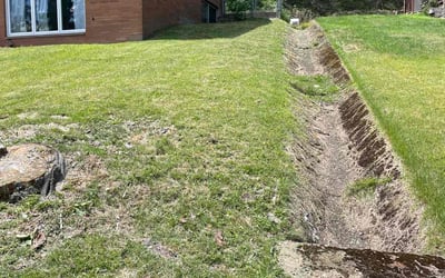 Photo of Stacy H.'s yard after getting lawn care in Baldwin, PA