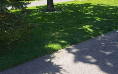 Photo of Jimmie C.'s yard after getting lawn care in Newington, CT