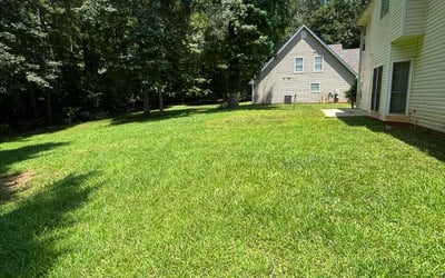Photo of Ammy S.'s yard after getting lawn care in Altamonte Springs, FL
