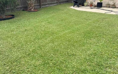 Photo of heather r.'s yard after getting lawn care in Panama City, FL