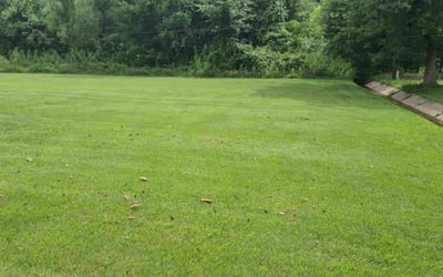 Photo of Laura J.'s yard after getting lawn care in Aylett, VA