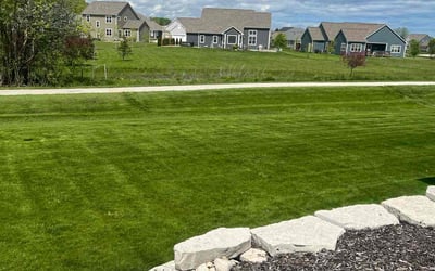 Photo of Topher M.'s yard after getting lawn care in Greendale, WI