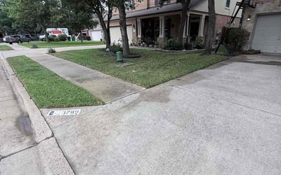 Photo of Chris W.'s yard after getting lawn care in Antioch, CA