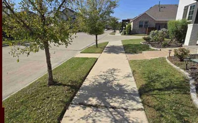 Photo of David Y.'s yard after getting lawn care in Arlington, TX