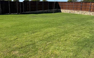 Photo of Shane R.'s yard after getting lawn care in Haslet, TX