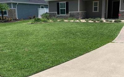 Photo of Barbara W.'s yard after getting lawn care in Wayland, MA