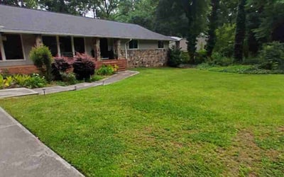 Photo of Tammy T.'s yard after getting lawn care in Peachtree City, GA