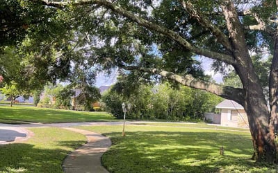 Photo of Malaika B.'s yard after getting lawn care in Milwaukee, WI