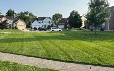 Photo of Theresa B.'s yard after getting lawn care in Hamilton, OH