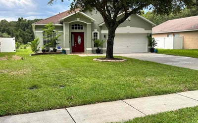 Photo of Jose S.'s yard after getting lawn care in Land O' Lakes, FL