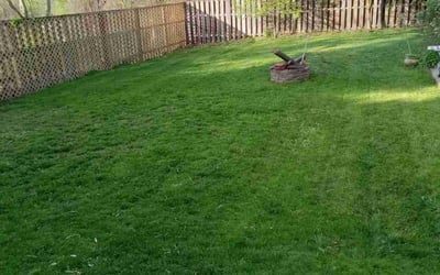 Photo of Ida N.'s yard after getting lawn care in Belle Vernon, PA