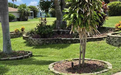 Photo of Marco C.'s yard after getting lawn care in Herndon, VA