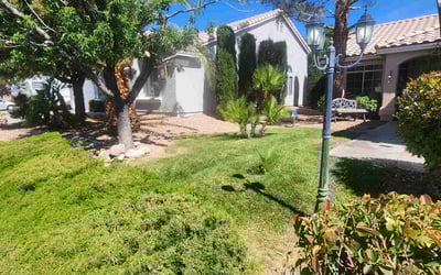 Photo of Erin V.'s yard after getting lawn care in Henderson, NV