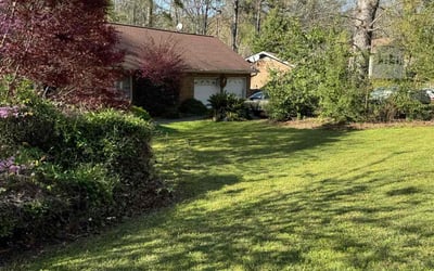 Photo of Andre T.'s yard after getting lawn care in Moore, SC