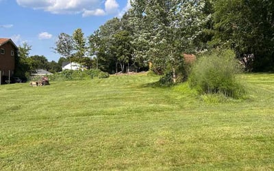 Photo of Devon K.'s yard after getting lawn care in Murrysville, PA