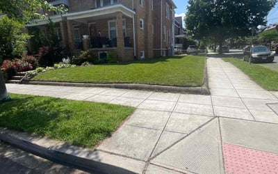 Photo of Richard V.'s yard after getting lawn care in Washington, DC