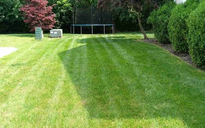 Photo of Steve A.'s yard after getting lawn care in Dublin, OH
