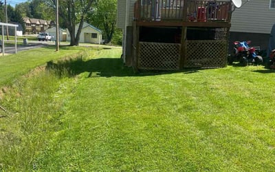 Photo of Rebecca W.'s yard after getting lawn care in Johnson City, TN