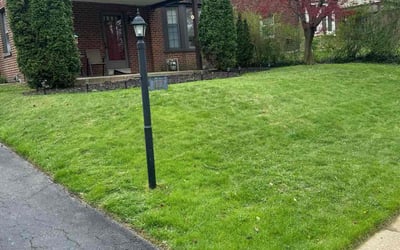 Photo of Donna N.'s yard after getting lawn care in Willow Grove, PA