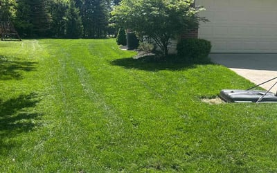 Photo of Stacy B.'s yard after getting lawn care in Denham Springs, LA