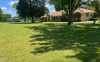 Photo of Ana O.'s yard after getting lawn care in Columbia, TN