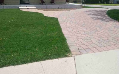 Photo of Dan R.'s yard after getting lawn care in Pasadena, CA