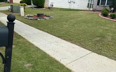 Photo of Rosalind A.'s yard after getting lawn care in Fairburn, GA