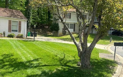 Photo of joanne c.'s yard after getting lawn care in Fort Washington, MD