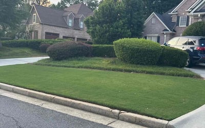Photo of Angie J.'s yard after getting lawn care in Mahopac, NY