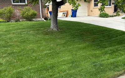 Photo of Michael C.'s yard after getting lawn care in Broomfield, CO