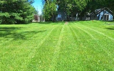 Photo of Petchi K.'s yard after getting lawn care in South Bend, IN