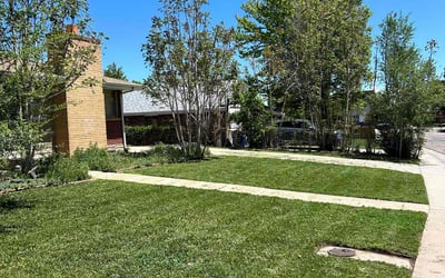 Photo of James S.'s yard after getting lawn care in Lone Tree, CO