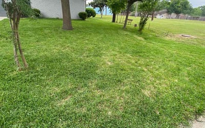 Photo of Steven J.'s yard after getting lawn care in Levittown, PA