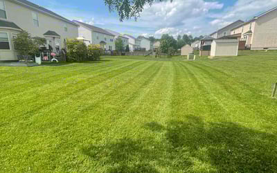 Photo of Emenyi N.'s yard after getting lawn care in Reynoldsburg, OH